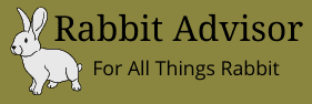 Rabbit advisor logo